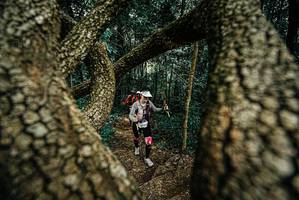 BIB: 
                            <button type="button" onclick="openModal(25703272)" class="btn btn-primary btn-sm float-right btn-popup" data-toggle="modal" data-target=".modal-high-quality">
                        <i class="fas fa-shopping-cart"></i> Add to Cart
                    </button>
                                            <button type="button" onclick="isThisMe(25703272, true)" class="btn btn-success btn-sm float-right btn-popup btn-isme hidden" data-toggle="tooltip" data-placement="bottom" title="นี่คือรูปของคุณใช่ไหม คลิกที่นี่เพื่อเอาเข้าอัลบั้ม">
                        <i class="fas fa-plus"></i> Add to album
                    </button>
                    <button type="button" onclick="isThisMe(25703272, false)" class="btn btn-warning btn-sm float-right btn-popup btn-isnotme hidden">
                        <i class="fas fa-ban"></i> Remove from album
                    </button>